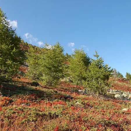 Апартаменты Swiss